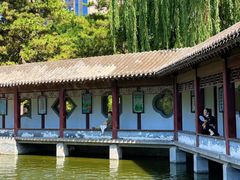 -团结湖公园