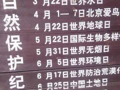 -鄱阳湖国家湿地公园