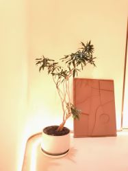 -LORI SPA洛丽汇 美肤抗衰SPA中心