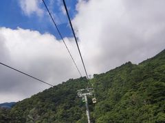 -半天妖烤鱼(绿地大融城店)