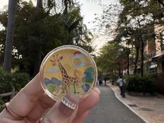 -灵玲国际马戏城