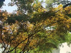 -岳麓山风景名胜区