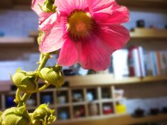 店内环境-今日陶艺(富力广场店)
