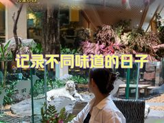 -白虎自助餐厅·真老虎·景观自助餐厅(广州长隆酒店)
