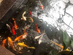 -天津海河悦榕庄·Lobby Lounge大堂吧