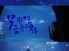 -烟台海昌鲸鲨海洋公园