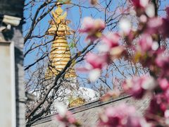 -护国法轮寺