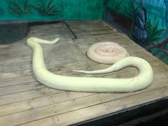 -石家庄市动物园