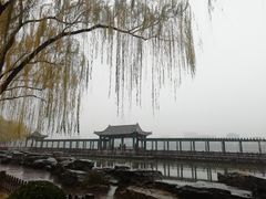-莲花池公园