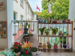 -苏州市姑苏区宝仁幼儿园