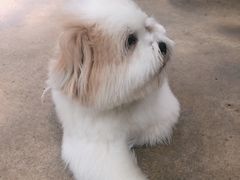 -TrueLove @ Neverland (Husky Cafe)