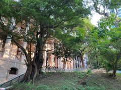 -香港大学