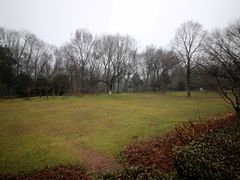 -紫霞湖公园