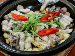 招牌焗叉尾鱼-美极鲜食坊(宝安南路店)