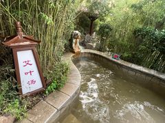 -徂徕山森林康养度假谷温泉