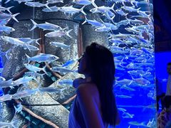 -波塞冬旅游度假区