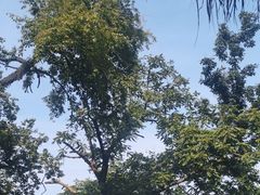 -终南山南五台景区