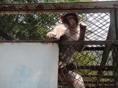 -藏龙百瀑风景区