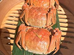 -成隆行·蟹王府(淮海店)