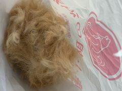 -唐小姐の私宠·宠物洗护美容·撸猫馆·购宠(周浦万达旗舰店)