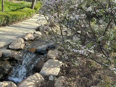 -大连植物园