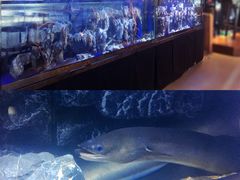 -石葵(锦业时代店)