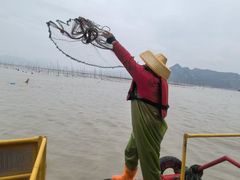 -北岐滩涂