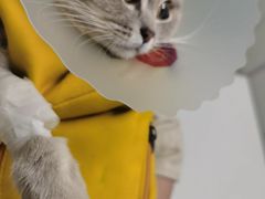 -达爱动物医院·犬猫分区·CT·复杂眼科(远洋山水分院)