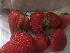 -池田寿司·新鲜现做(昌平悦荟店)