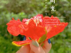 -华南国家植物园-售票处