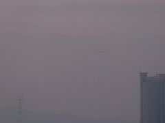 -演武大桥观景平台