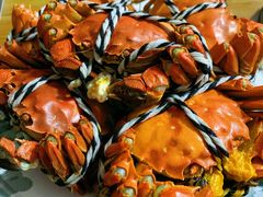 -七的湖·晚芳亭·阳澄湖农家菜·大闸蟹(莲花岛店)