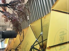 -艾薯夫妇Aysh(福田星河COCOPark店)