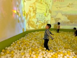 -宝燕乐园(闵行旗舰店)