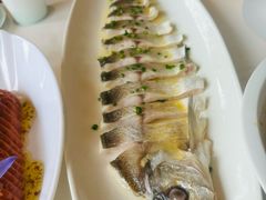 -绿杨春·淮扬宴(庐山路店)