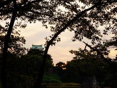 景点-名古屋城