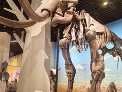 -国家自然博物馆