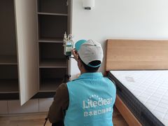 -Liteclear日本进口强效除甲醛检测治理(旗舰店)