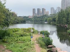 -重庆彩云湖湿地公园