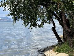 -洱海月湿地公园