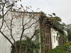 -田园东方蜜桃村的田野营地