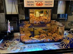 -蟹道乐(道顿堀本店)