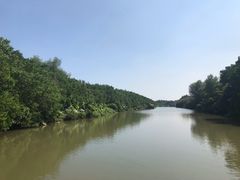 -大湾区中央湿地公园