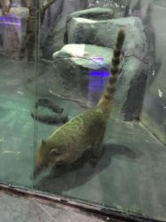 -未来动物城主题公园(正弘城店)