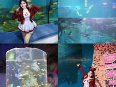 -福州罗源湾海洋世界旅游区