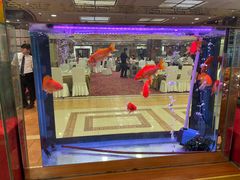 -良友·海鲜青岛菜(五四广场店)