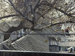 -元古本店(南锣鼓巷店)