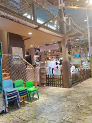 -卡通尼·Safari非洲探索乐园·生日会(金桥国际商业广场店)