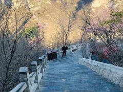 -抱犊寨风景区