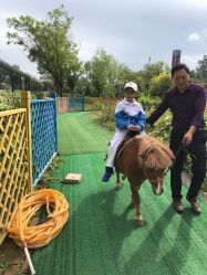 -萌宠亲子动物乐园(槐房万达店)